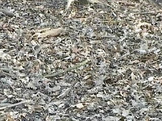 Покорная сисястая рабыня исполняет развратные желания похотливого хозяина